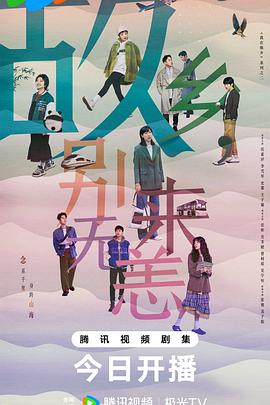 网页seo代码怎么布局